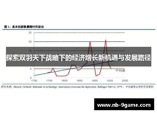 探索双羽天下战略下的经济增长新机遇与发展路径