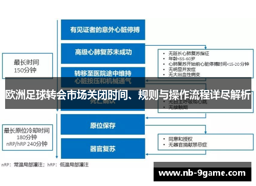 欧洲足球转会市场关闭时间、规则与操作流程详尽解析