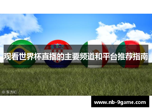 观看世界杯直播的主要频道和平台推荐指南