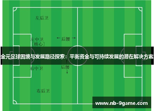 金元足球困境与发展路径探索:平衡资金与可持续发展的潜在解决方案