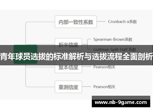 青年球员选拔的标准解析与选拔流程全面剖析