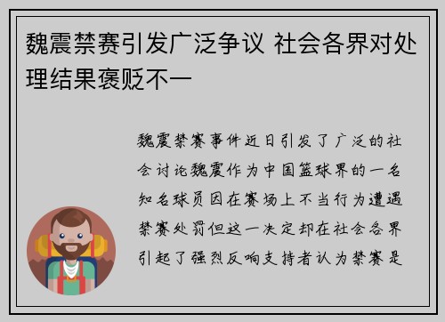 魏震禁赛引发广泛争议 社会各界对处理结果褒贬不一